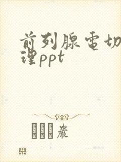 前列腺电切术护理ppt