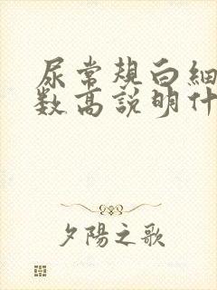 尿常规白细胞计数高说明什么问题