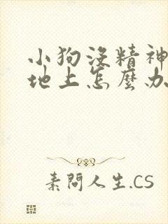 小狗没精神总趴地上怎么办