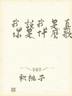 我说我是真的爱你是什么歌的歌词