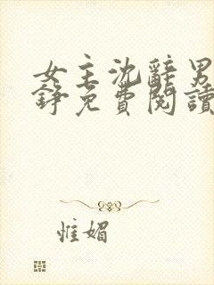 女主沈辞男主贺铮免费阅读