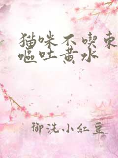 猫咪不吃东西还呕吐黄水