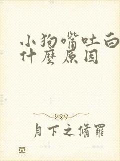 小狗嘴吐白沫是什么原因