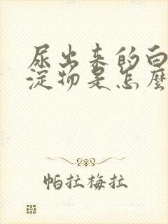 尿出来的白色沉淀物是怎么回事