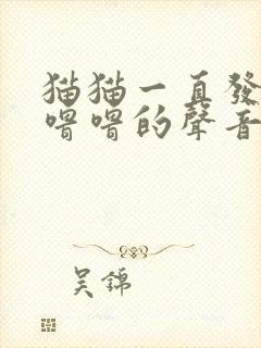 猫猫一直发出呼噜噜的声音