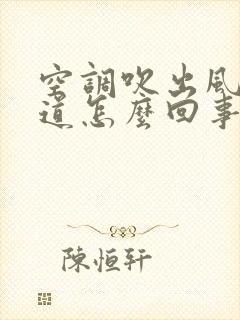 空调吹出风有味道怎么回事