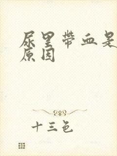 尿里带血是什么原因