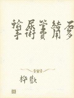 输尿管结石软镜手术费用多少