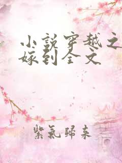 小说穿越之毒妃嫁到全文