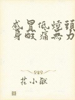 感冒低烧头晕浑身酸痛无力