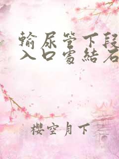 输尿管下段膀胱入口处结石