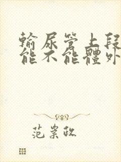 输尿管上段结石能不能体外碎石