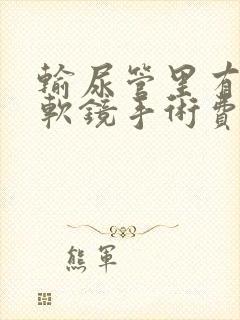 输尿管里有结石软镜手术费用多少