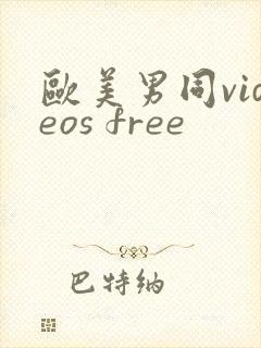 欧美男同videos free