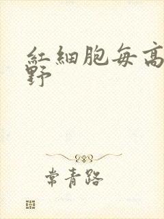 红细胞每高倍视野