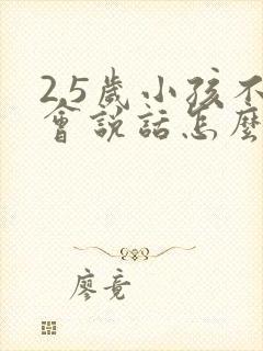 2.5岁小孩不会说话怎么办