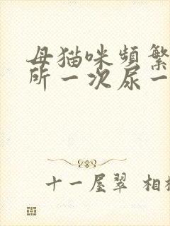 母猫咪频繁上厕所一次尿一点咋回事