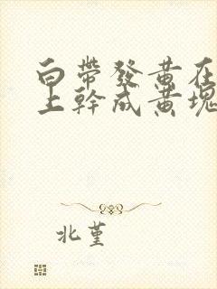 白带发黄在内裤上干成黄块