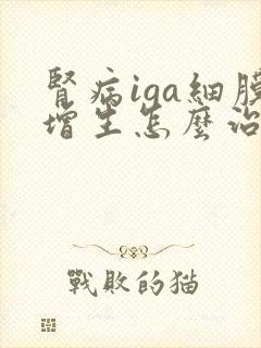 肾病iga细膜增生怎么治