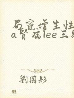 局灶增生性iga肾病lee三级