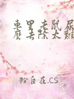 车里老鼠尿味怎么去除太难闻了