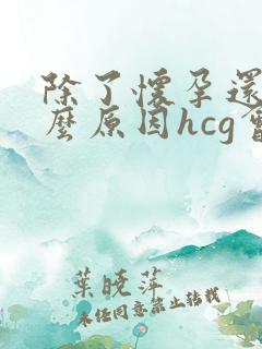 除了怀孕还有什么原因hcg会高,尿阳性