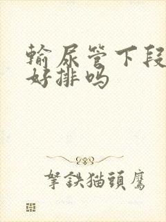 输尿管下段结石好排吗