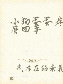 小狗蛋蛋疼是怎么回事