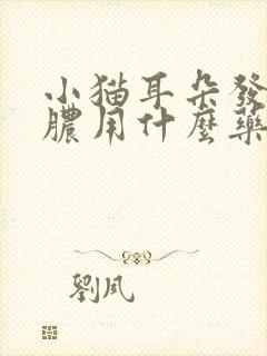 小猫耳朵发炎流脓用什么药