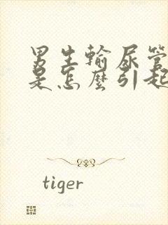 男生输尿管结石是怎么引起的