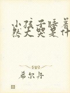 小孩子睡着了突然大哭是什么原因