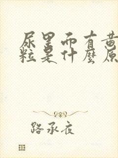 尿里面有黄色颗粒是什么原因