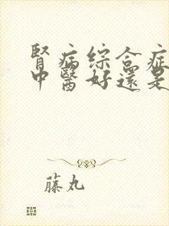 肾病综合症治疗中医好还是西医好