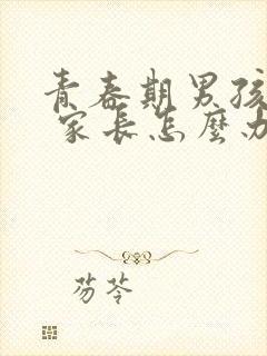 青春期男孩叛逆 家长怎么办