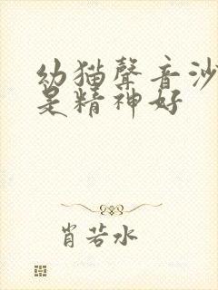 幼猫声音沙哑但是精神好