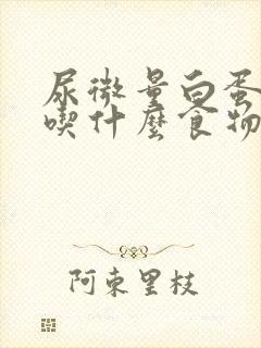 尿微量白蛋白高吃什么食物好