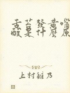 舌苔发黄嘴里发酸是什么原因