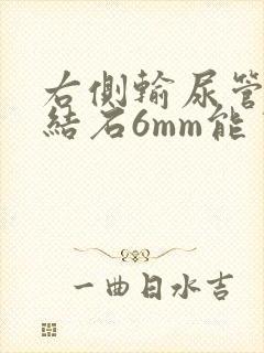 右侧输尿管上段结石6mm能自己排吗