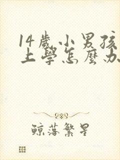 14岁小男孩不上学怎么办