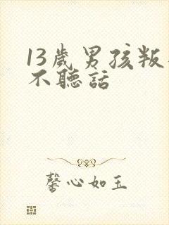 13岁男孩叛逆不听话