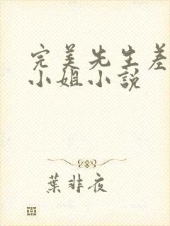 完美先生差不多小姐小说