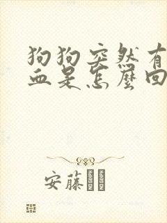 狗狗突然有点尿血是怎么回事