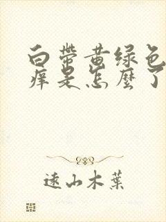 白带黄绿色外阴痒是怎么了