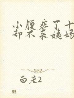 小腹疼了十几天却不来姨妈怎么回事