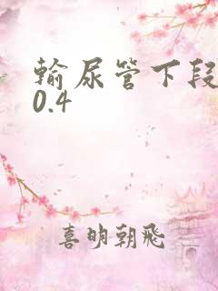 输尿管下段结石0.4