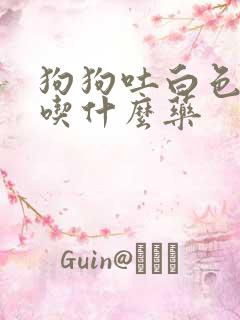 狗狗吐白色泡沫吃什么药