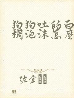 狗狗吐的白色粘稠泡沫怎么办