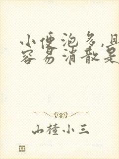 小便泡多,且不容易消散是什么原因