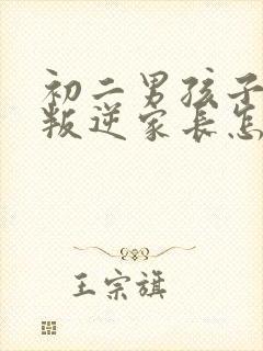 初二男孩子严重叛逆家长怎么办