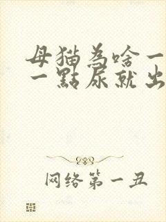 母猫为啥一直尿一点尿就出来了